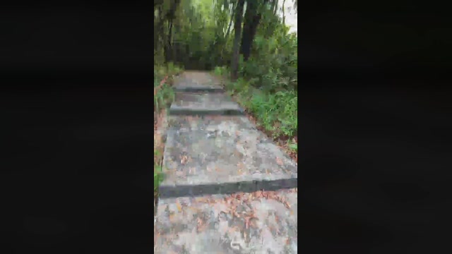 verecinadohk  17-09-2022